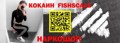 дмт Бийск