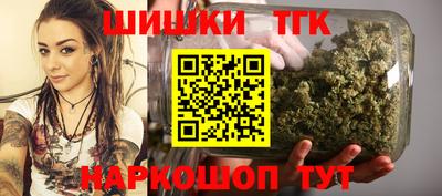 дмт Бийск