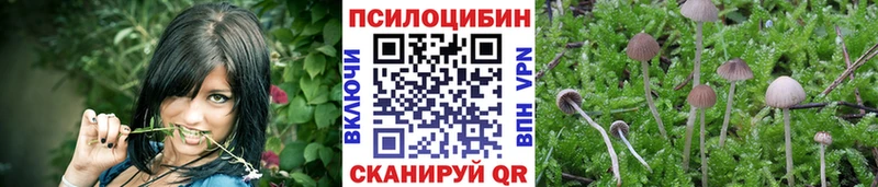 Псилоцибиновые грибы GOLDEN TEACHER  МЕГА ТОР  Кимры  где найти  