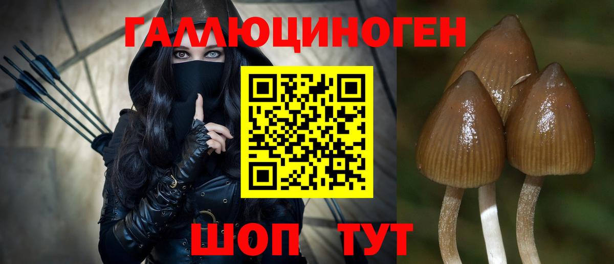 Кимры  Псилоцибиновые грибы Psilocybine cubensis  Вход с VPN 